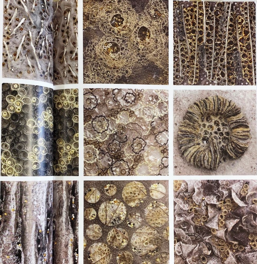 Textures From Nature in Textile Art by Marian Jazmik Royal School of