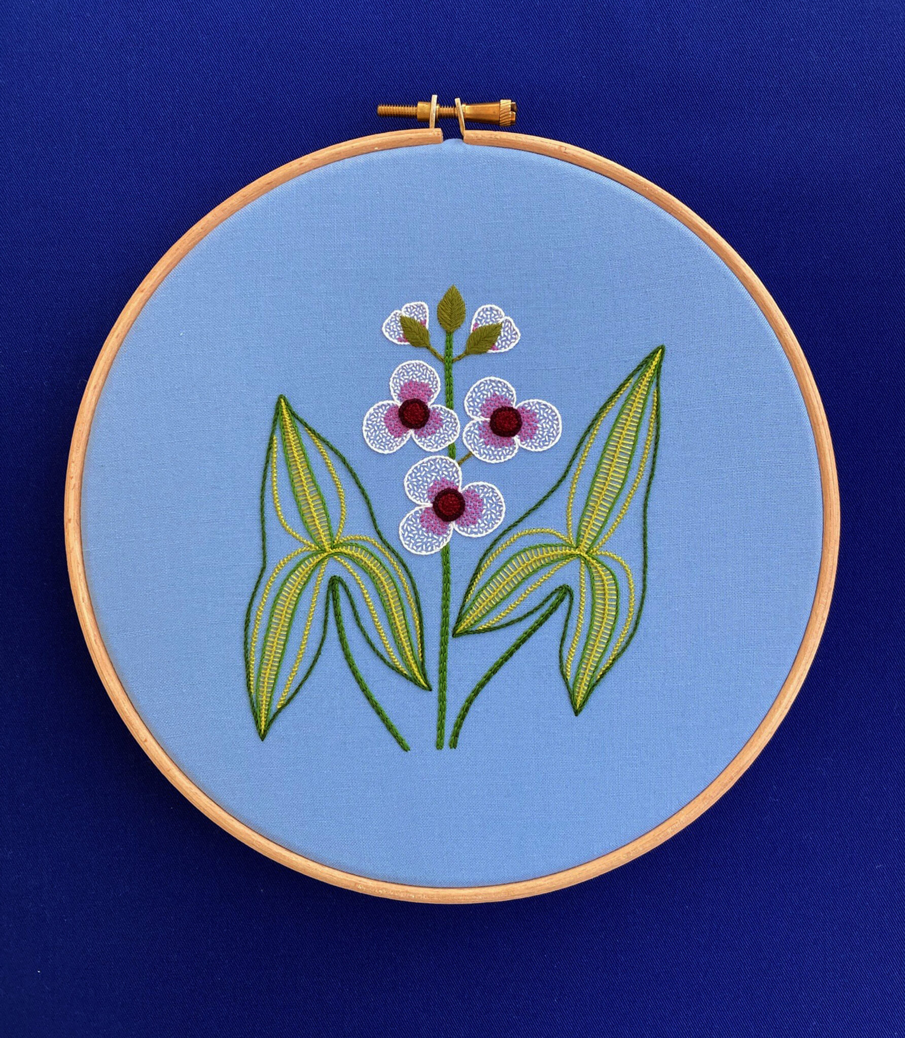 RSN Exclusive Native Wildflower, Arrowhead Kit by Natalie Rowe Royal