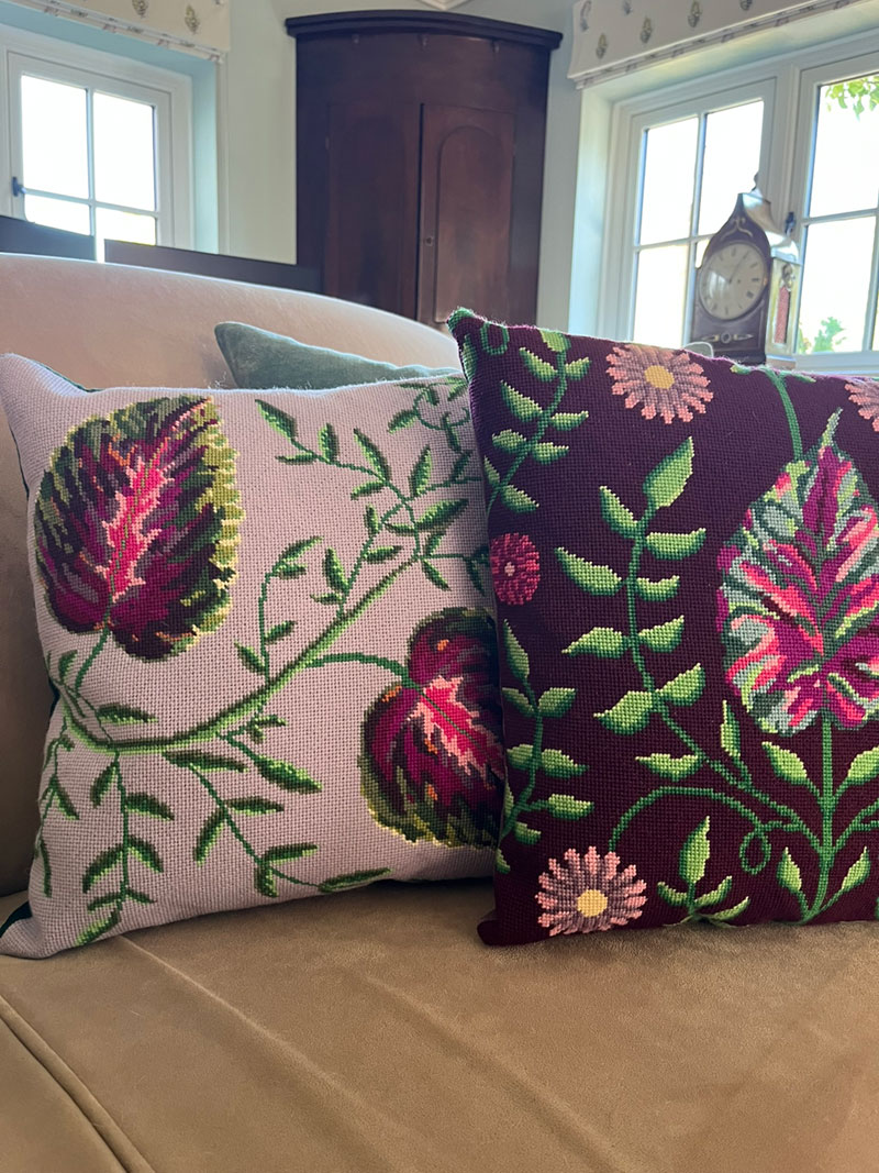 A-fine-Vine-Begin-the-Begonia-portrait-use