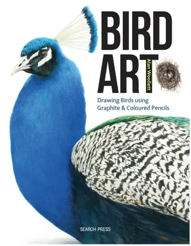 0033131_bird-art-drawing-birds-using-graphite-coloured-pencils_510