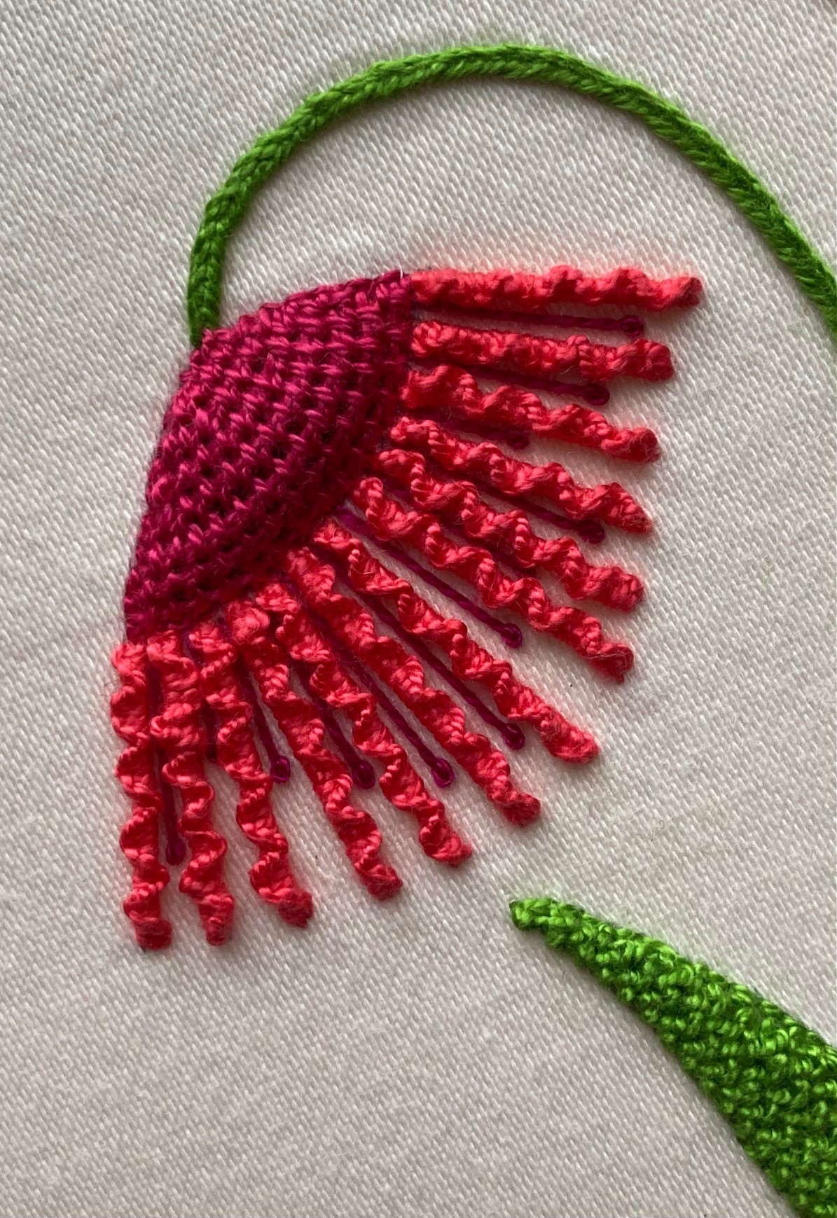 HJ Summer Flowers Close 3 DDS 9.5.26