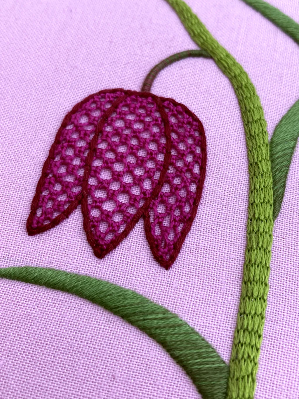 HCP26095-Native-Wildflower-Snakes-Head-Fritillary-with-Natalie-Rowe.5