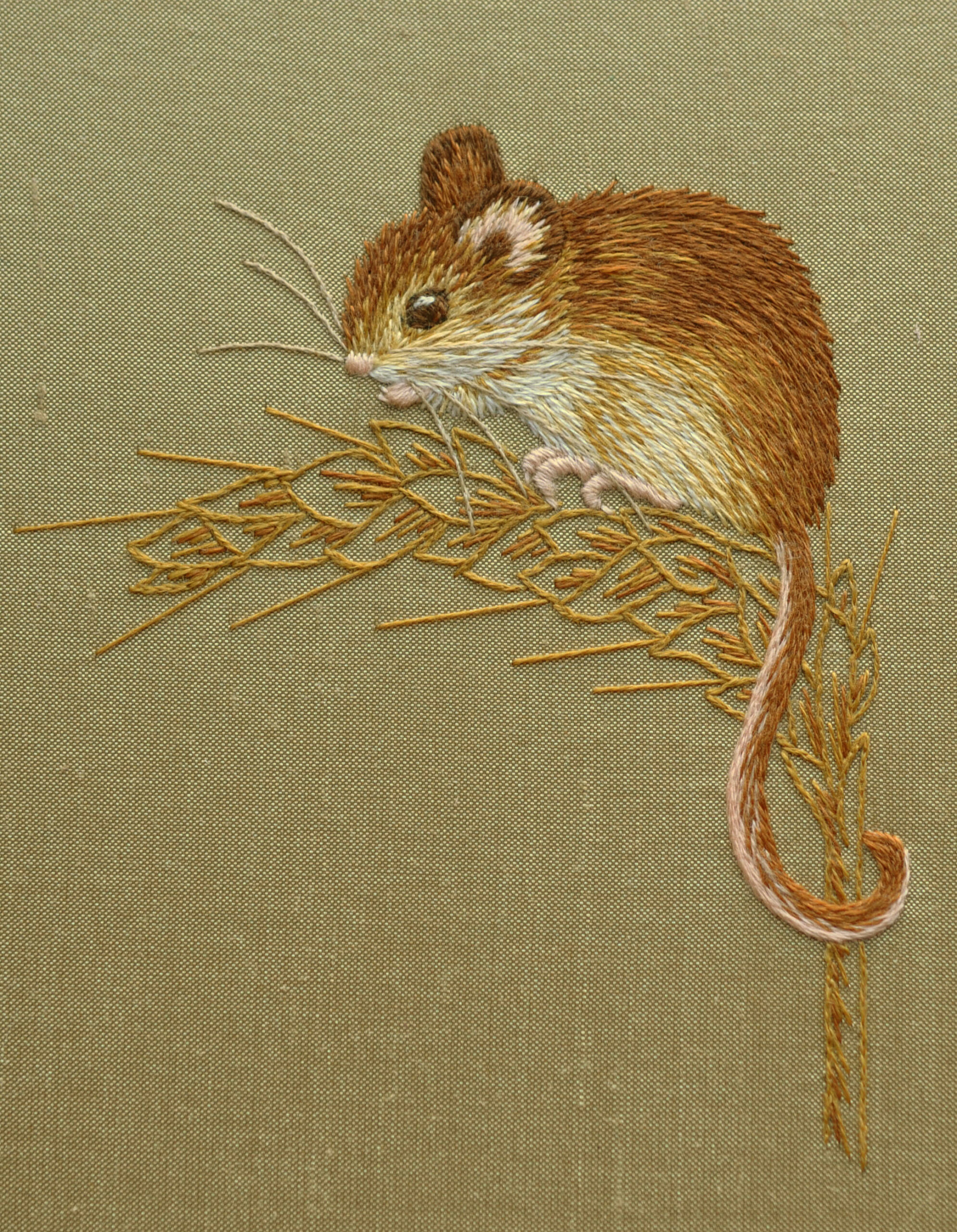 HelenRichman_SilkShadingHarvestMouse